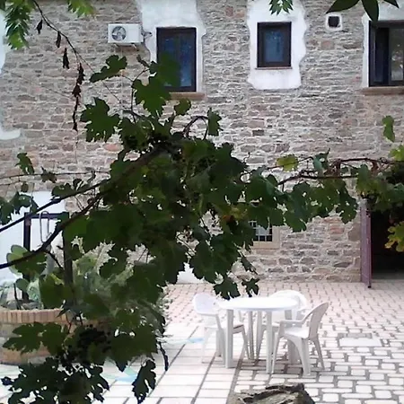 L'aranceto *